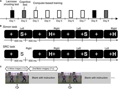The Effects of Computer-Based and Motor-Imagery Training on Scoring Ability in Lacrosse